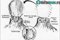 Ảnh Tổng hợp tin tức nổi bật nhất tuần 03/05