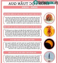 Ảnh Chuyển động của thế giới khoa học trong tuần vừa qua