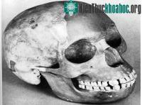 Ảnh Những “cú lừa” ngoạn mục trong khoa học