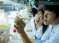 Ảnh Việt Nam vượt mặt Thái Lan về đổi mới sáng tạo