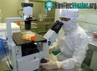 Ảnh 10 sự kiện khoa học công nghệ tiêu biểu trong năm 2014