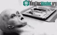 Ảnh Tổng hợp tin tức hot trong tuần 05/11