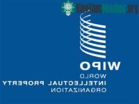 Ảnh Việt Nam là đại biểu phiên họp Đại Hội đồng WIPO lần thứ 54