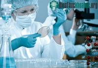 Ảnh Giới trẻ Việt khởi nghiệp với mô hình Thung lũng Silicon
