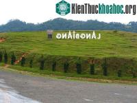 Ảnh Xây dựng hồ sơ đề xuất thành lập Khu dự trữ sinh quyển Langbiang