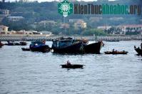Ảnh Khu bảo tồn biển Bạch Long Vĩ rộng 27.000 ha
