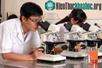 Ảnh Hai nhà khoa học đầu tiên được trao tặng Giải thưởng Tạ Quang Bửu