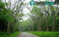 Ảnh Ninh Bình xây dựng công viên động vật hoang dã quốc gia