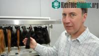 Ảnh Phương trình hình dáng tóc đuôi ngựa nhận giải Ig Nobel
