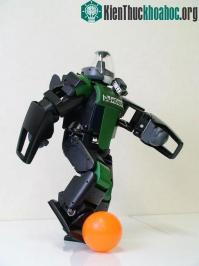 Ảnh Robot Nhật Bản khiến người Việt thích thú