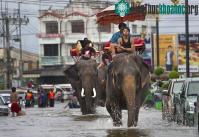 Ảnh ASEAN thành lập Trung tâm cứu trợ thiên tai cho khu vực