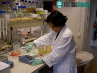 Ảnh Hội nghị công nghệ sinh học có nhiều nghiên cứu mới