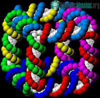 Ảnh Hội nghị quốc tế về công nghệ nano và ứng dụng tại Bà Rịa Vũng Tàu
