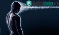 Ảnh Mỹ từng dùng nhà ngoại cảm trong chiến dịch chống khủng bố