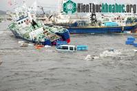 Ảnh Thảm họa do biến đổi khí hậu ở mức báo động đỏ