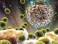 Ảnh Mỹ thử nghiệm điều chế vắcxin chống virus HIV