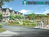 Ảnh Nhà sinh thái ở thành thị sẽ không tốn nhiều diện tích đất