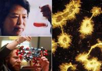 Ảnh Trung Quốc: Cho phép nhà nghiên cứu khoa học thất bại