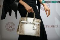 Ảnh Cá sấu trắng được dùng để làm túi Hermès Birkin quý hiếm đến độ nào?