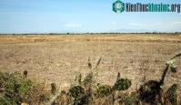 Ảnh El Nino quay lại, mùa hè sẽ nóng hơn và xuất hiện bão mạnh hơn