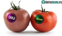 Ảnh Cách nhận biết các thực phẩm biến đổi gene GMO