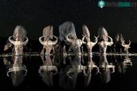 Ảnh Những khoảnh khắc ấn tượng trong cuộc thi Nhiếp ảnh thế giới 2017