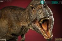 Ảnh Các nhà khoa học công bố nghiên cứu gây sốc Khủng long bạo chúa T-rex cũng biết "yêu" 