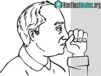 Ảnh Chó nhà bạn có hay nghiêng đầu như thế không? Vì sao thế nhỉ?