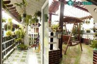 Ảnh Giải pháp hiệu quả chống nóng ở trên sân thượng
