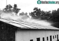 Ảnh Chiêu chống nóng hiệu quả cho nhà mái tôn bị nắng hè hun đốt