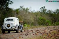Ảnh Binh đoàn cua ba màu xuất hiện tại vịnh Con Lợn ở Cuba
