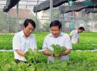 Ảnh Công nghệ tưới nước của Israel được áp dụng ở vùng đất khô hạn nhất miền Trung