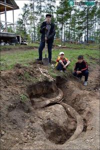 Ảnh Phát hiện ra cặp ngà voi ma mút 400.000 năm tại Siberia