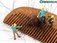 Ảnh Chắc hẳn bạn sẽ không lạm dụng dùng dầu gội khô nữa sau khi đọc xong bài viết này