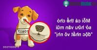 Ảnh Con người sở hữu vân tay nhưng mỗi chú chó lại sở hữu vân mũi cực khác biệt