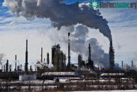 Ảnh Đã tìm ra cách “khóa” carbon nhanh hơn cả chống biến đổi khí hậu?
