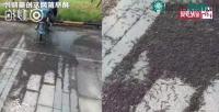 Ảnh Thảm họa sâu cuốn chiếu phủ đen kịt ga tàu Trung Quốc