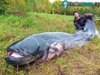 Ảnh Bơi theo cá khổng lồ thanh niên sốc khi thấy hình hài con vật 