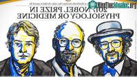 Ảnh Nobel Y học 2017 cho khám phá về cơ chế kiểm soát của nhịp sinh học