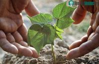 Ảnh Sản xuất thành công đất nhân tạo tại Nga