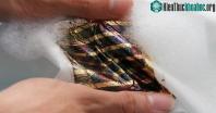 Ảnh Nhóm nghiên cứu tại Nhật phát triển pin mặt trời có thể giặt rửa như quần áo
