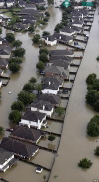 Ảnh Bão Harvey vừa tan, đã xuất hiện đàn muỗi hàng triệu con "xâm chiếm" Texas