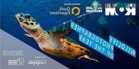 Ảnh Bức ảnh có khả năng được nhận giải cao nhất tại Wildlife Photographer of the Year 2017