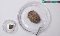 Ảnh "Khối cầu" dương xỉ khô héo hồi sinh khi gặp được nước