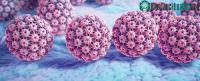 Ảnh Virus HPV thầm lặng hủy diệt sức khỏe của phụ nữ như thế nào?