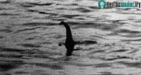 Ảnh Vật thể nhô cao đầu giống như quái vật hồ Loch Ness ở Albania