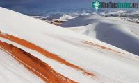 Ảnh Tuyết rơi bất thường phủ trắng sa mạc Sahara