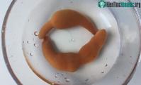 Ảnh Loài giun mang tên "cá dương vật" có thể ăn sống
