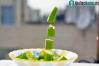Ảnh Thức ăn lơ lửng – Phát kiến mới để thu hút những người thích sự mới lạ, độc đáo