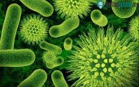 Ảnh Dự án săn lùng 1,7 triệu virus chưa được biết đến của các nhà khoa học